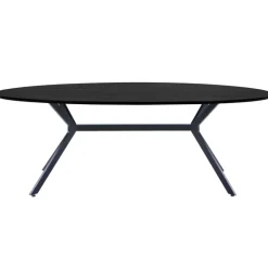 BRUNO Esstisch 220 x 75 cm oval schwarz
