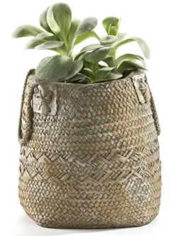 casaNOVA Übertopf BASKET 20 cm