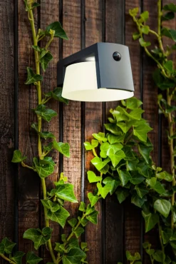 ECO-LIGHT LED Solar Außenwandleuchte MOON B anthrazit