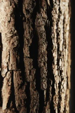 Highboard 106 x 138 x 44 cm braun