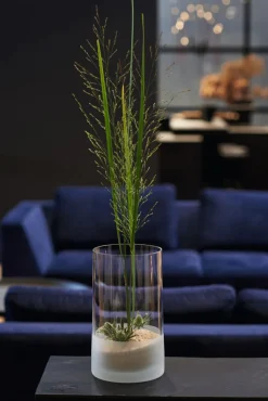 LEONARDO Vase NOVARA klar/satiniert