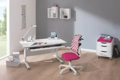 Kinder PAIDI Schreibtisch Kreideweiß