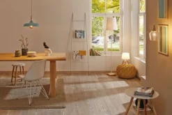 Paulmann LED Leuchtmittel AGL Filament E27 / 7 Watt