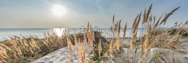 PRO ART Alu-Art Bild LOOK TO THE HORIZON 150 x 50 cm