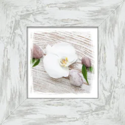 PRO ART New Classic Wood Bild WHITE SPRING IV 34 x 34 cm Rahmen grau