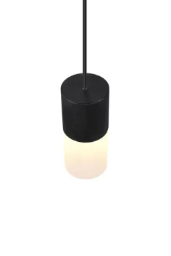 TRIO Retrofit Pendelleuchte ROBIN X 1-flg schwarz
