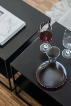 ZWIESEL GLAS ZWIESEL Dekanter VIVID SENSEN Kristallglas